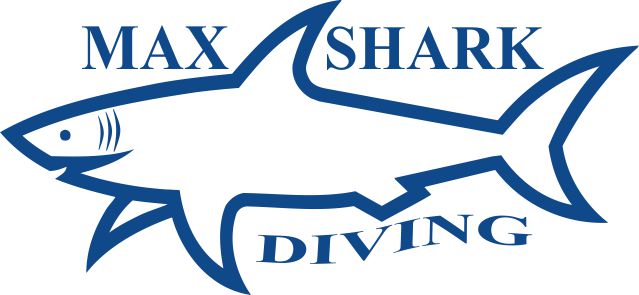 logo max shark blu
